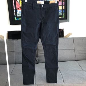 BRAND NEW Hollister Blue Jeans